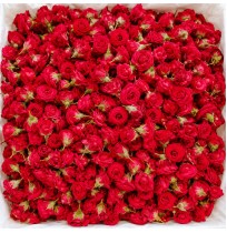 Pooja Flowers - Button Rose